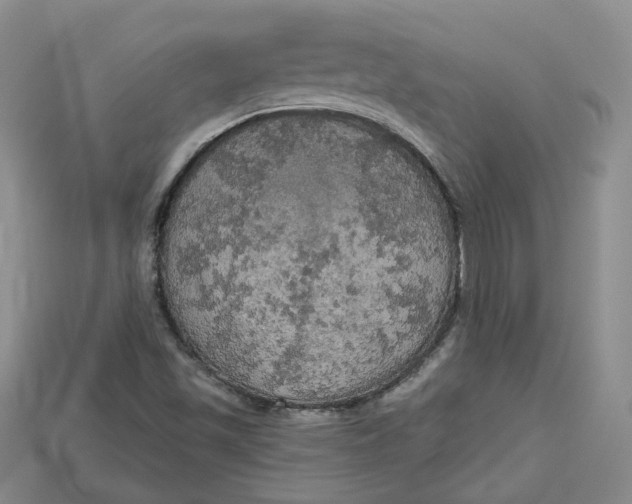 X0000114671501200911121322