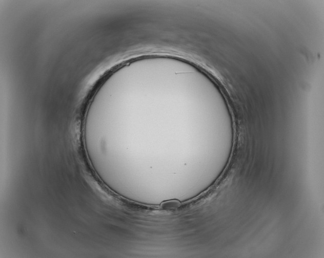 X0000114671503200911121322