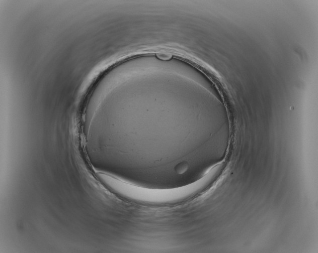 X0000114671506200911121322