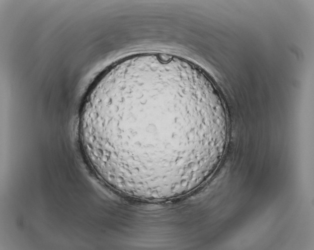 X0000114671507200911121322