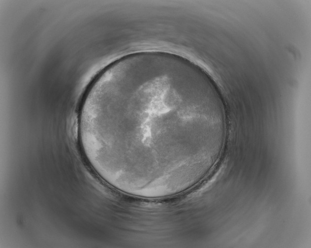 X0000114671509200911121322