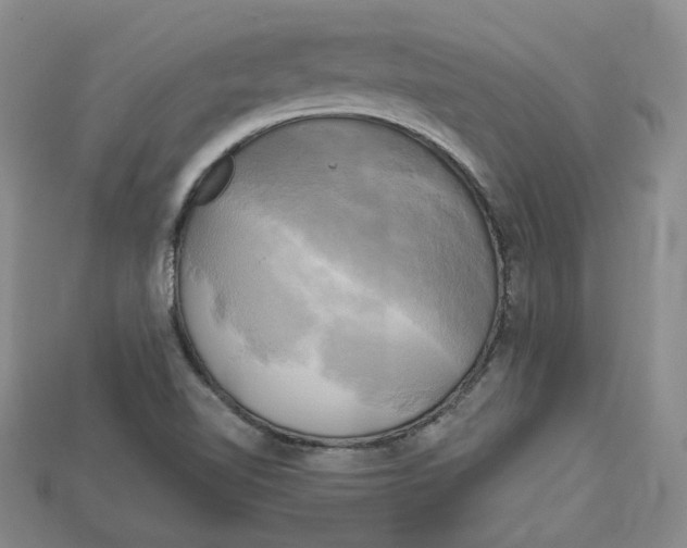 X0000114671510200911121322