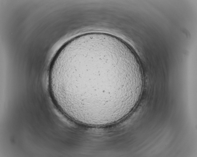 X0000114671511200911121322