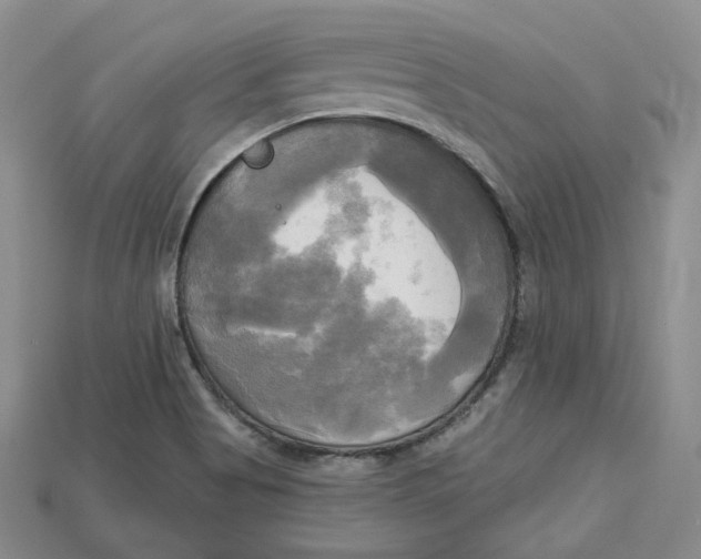 X0000114671513200911121322