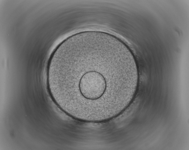 X0000114671514200911121322