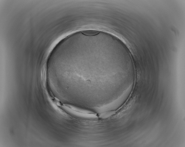 X0000114671515200911121322