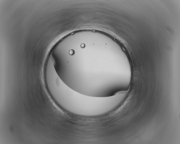 X0000114671517200911121322