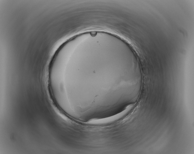 X0000114671519200911121322