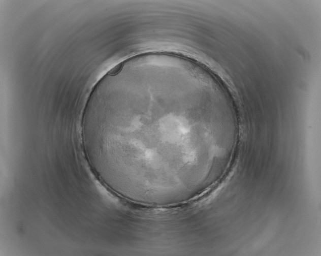 X0000114671521200911121322