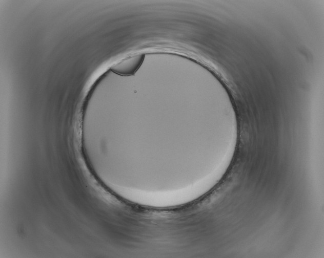 X0000114671522200911121322