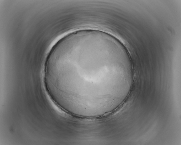 X0000114671523200911121322