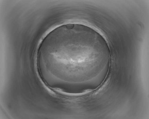 X0000114671525200911121322