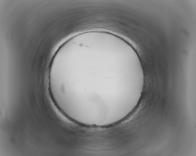 X0000114671526200911121322