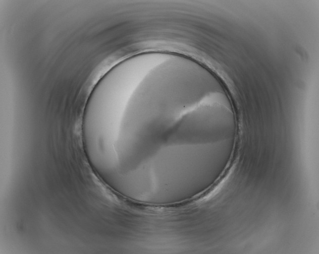 X0000114671529200911121322