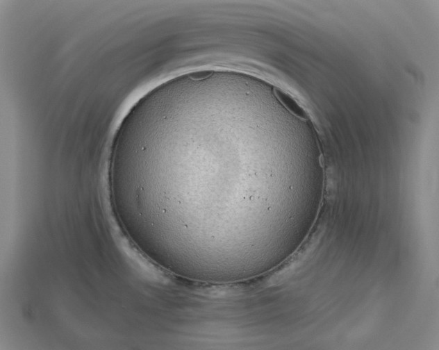 X0000114671530200911121322