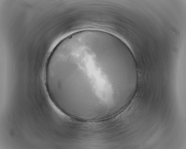 X0000114671531200911121322