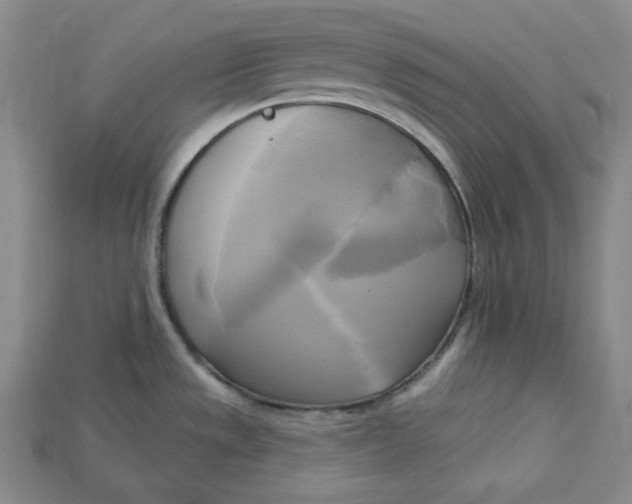 X0000114671533200911121322