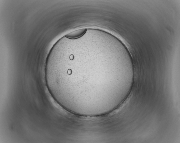 X0000114671534200911121322