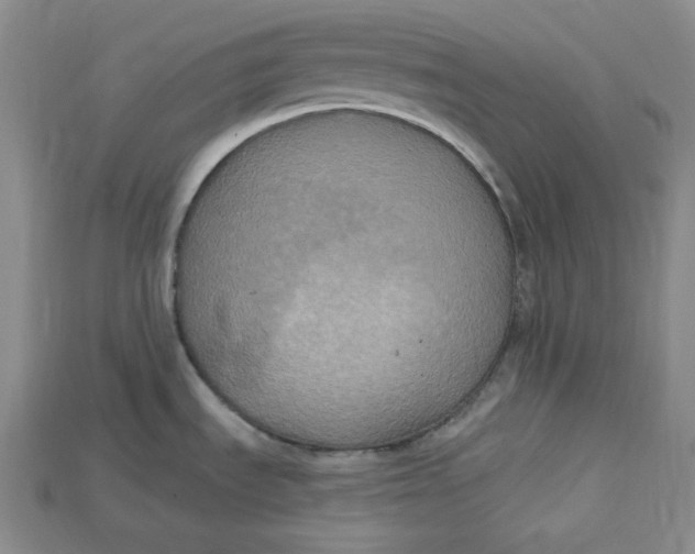 X0000114671535200911121322