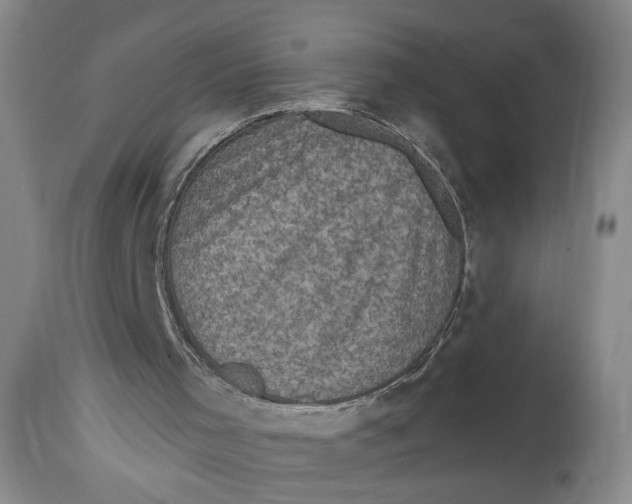 X0000114670001200911181218