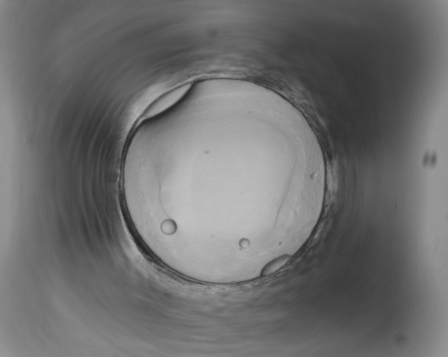 X0000114670003200911181218