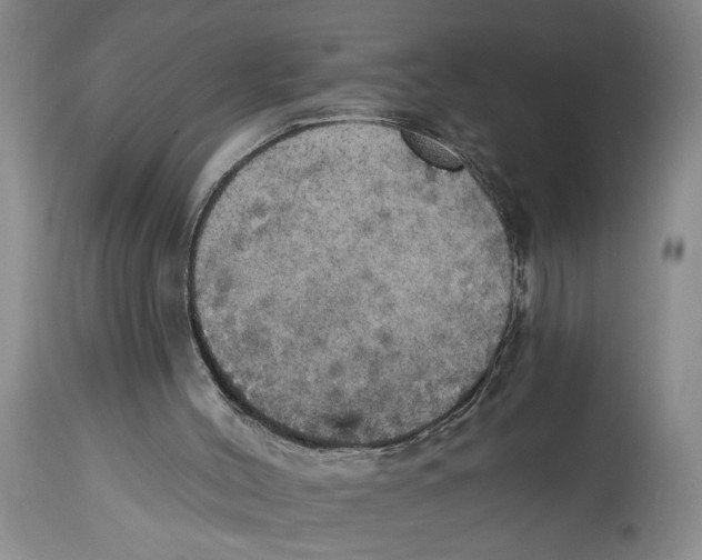 X0000114670004200911181218