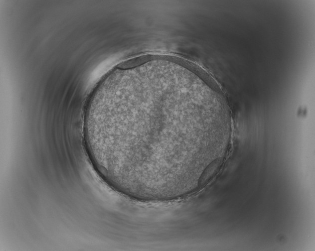 X0000114670005200911181218