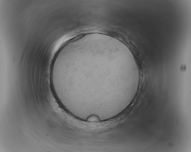 X0000114670006200911181218