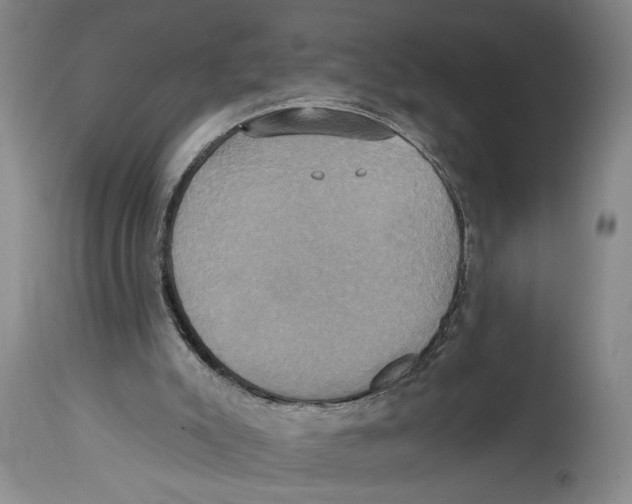 X0000114670007200911181218