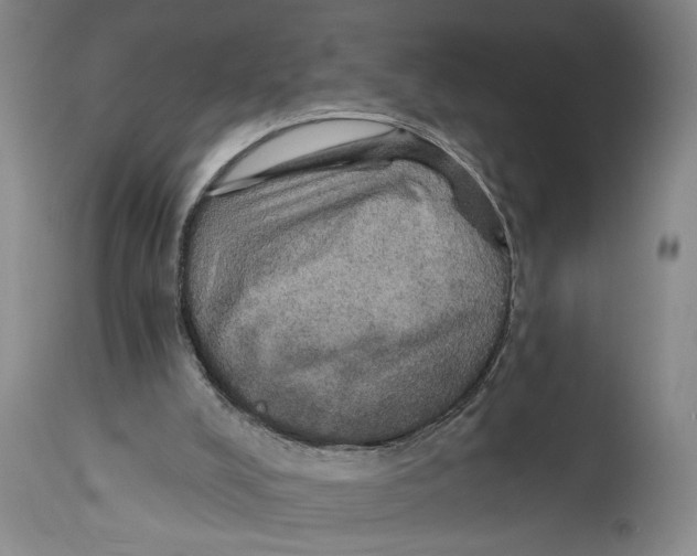 X0000114670008200911181218