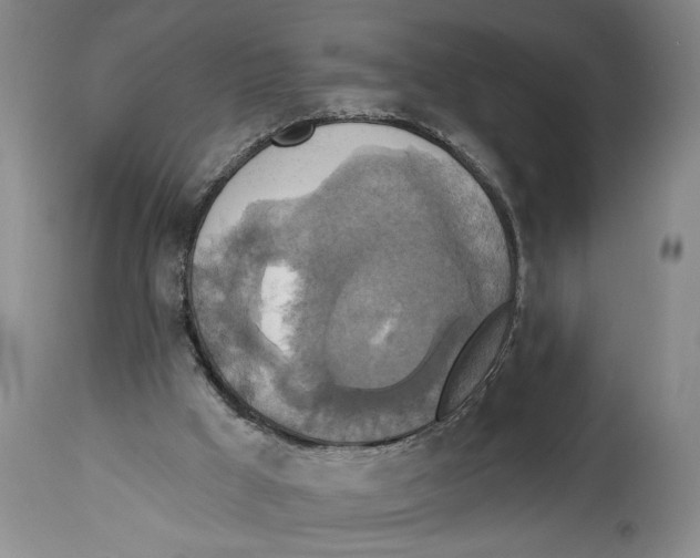 X0000114670009200911181218