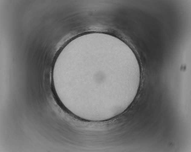 X0000114670011200911181218