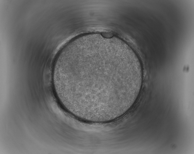 X0000114670012200911181218