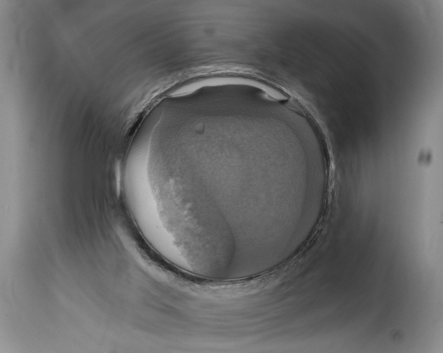 X0000114670013200911181218