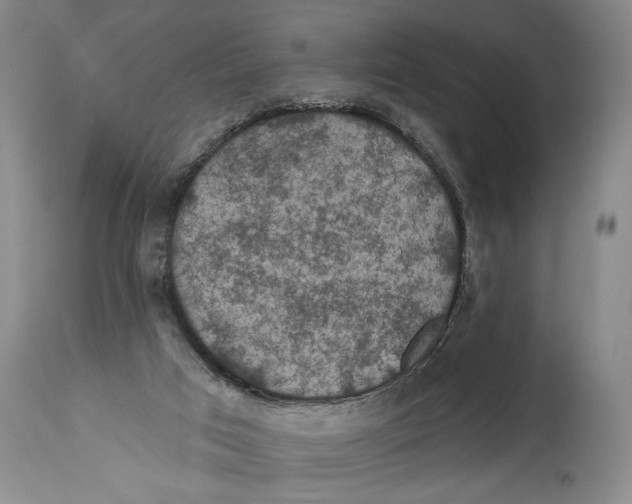 X0000114670017200911181218