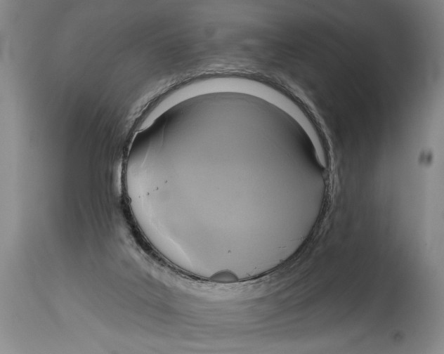 X0000114670019200911181218