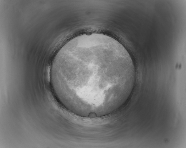 X0000114670022200911181217