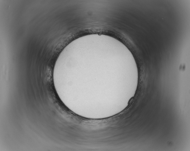 X0000114670025200911181217