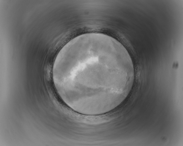 X0000114670026200911181217