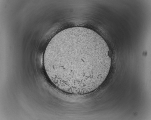 X0000114670028200911181217