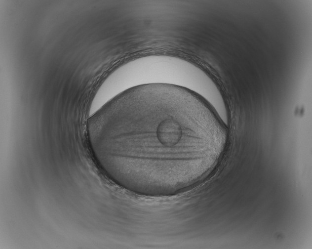 X0000114670029200911181217