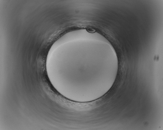 X0000114670031200911181217