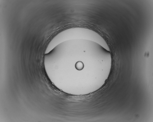 X0000114670033200911181217