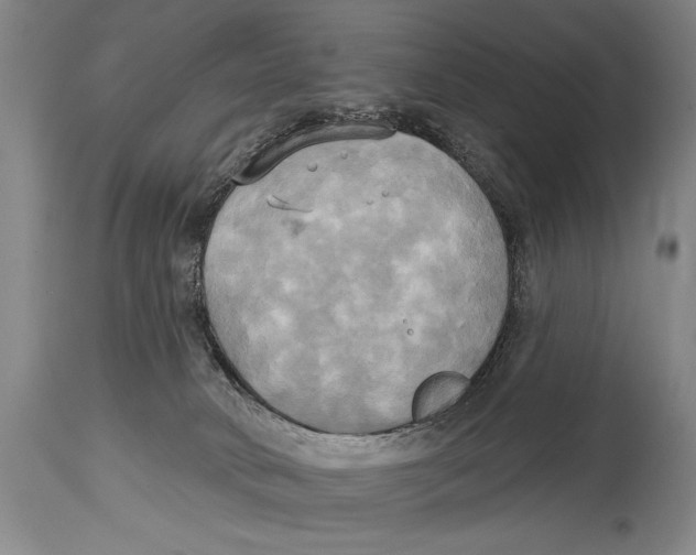 X0000114670034200911181217