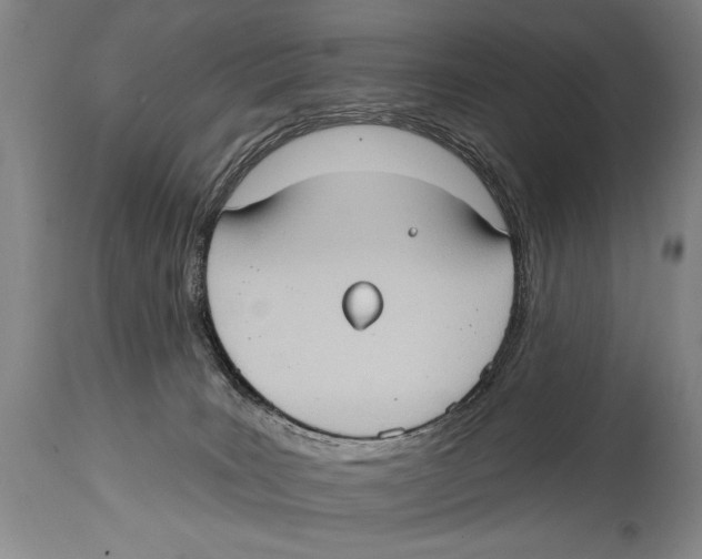 X0000114670035200911181217