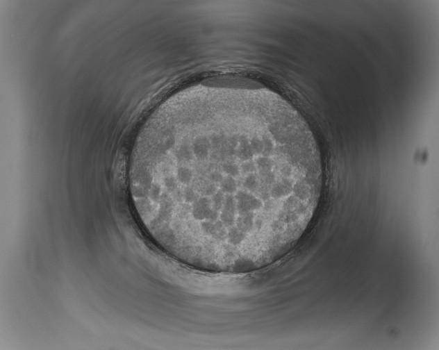 X0000114670036200911181217