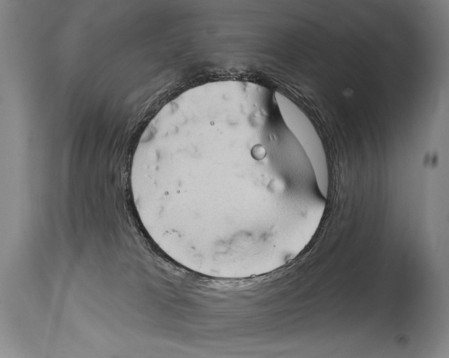 X0000114670037200911181217