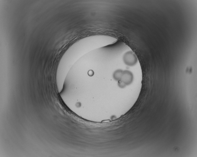 X0000114670039200911181217