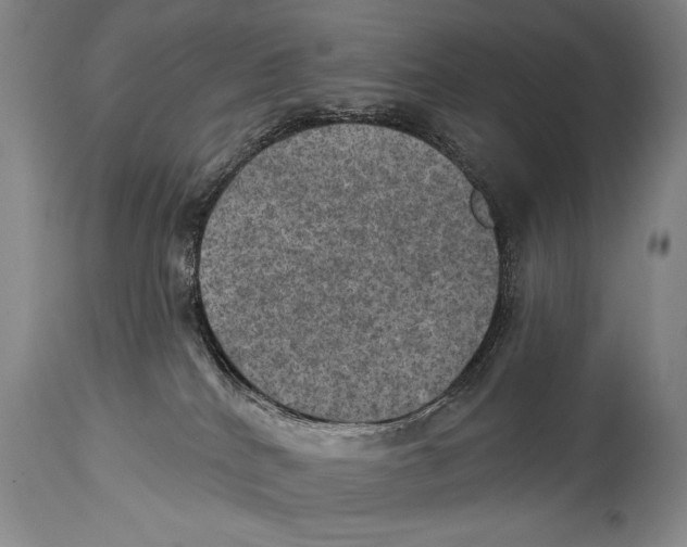 X0000114670040200911181217