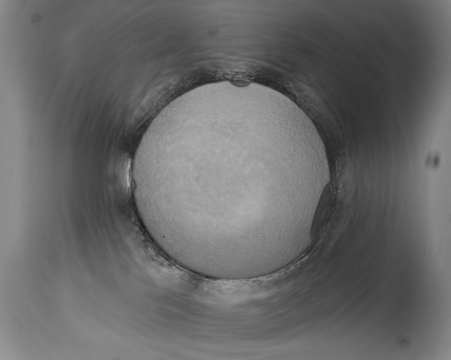 X0000114670041200911181217